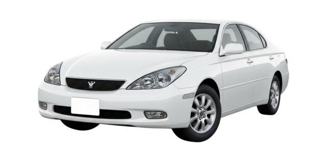 3 поколение