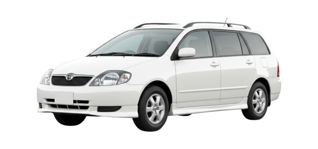 1 поколение